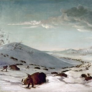 BUFFALO CHASE IN WINTER. Sioux Indians on Snowshoes Lancing Buffalo. Oil on canvas by George Catlin, 1846-48