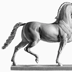 CANOVA: HORSE. Model of a colossal horse. Steel engraving, 19th century, after a sculpture by Antonio Canova (1757-1822)