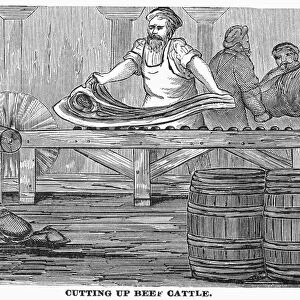 CHICAGO: MEATPACKING, 1878. Cutting up beef cattle at a meatpacking plant in Chicago, Illinois. Wood engraving, American, 1878