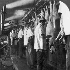 CHICAGO: MEATPACKING. Men working at the hog scraping rail at the Armour and Company