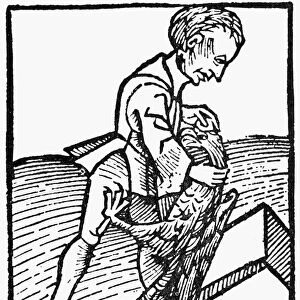 COCK STONE, 1491. Extracting an alectorian, or cock stone (believed to quench thirst
