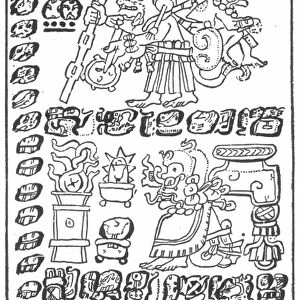 CODEX DRESDENSIS. Mayan gods or priests and hieroglyphs from the Codex Dresdensis