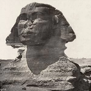 EGYPT: GREAT SPHINX. The Great Sphinx at Giza, Egypt. Photograph, late 19th century