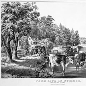 FARM SCENE, c1867. Farm Life in Summer: The Cooling Stream. Engraving by Currier & Ives