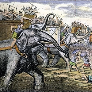 HANNIBAL (247-183 B. C. ) defeated at the Battle of Zama by the Romans in 202 B. C. : line engraving