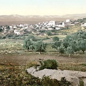 HOLY LAND: JENIN, c1895. View of the city of Jenin, West Bank. Photochrome, c1895