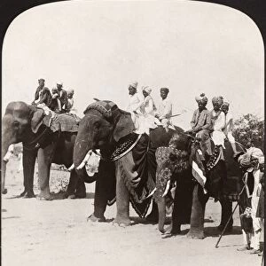 INDIA: JAIPUR, c1907. State elephants of the Maharaja on parade, Jaipur, India
