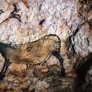 LASCAUX: RUNNING DEER. Running deer from the Cave of Lascaux, Montignac, France