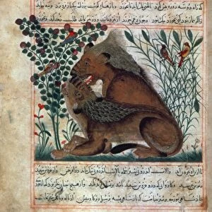 LION AND LIONESS, c1290. Persian ms. illumination, c1290