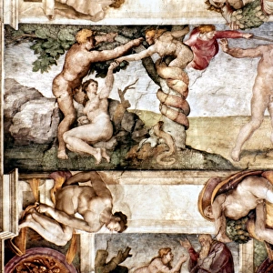 Michelangelo Buonarroti Collection: Creation of Adam