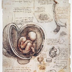 Sketches and drawings by Leonardo da Vinci