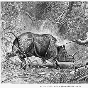 RHINOCEROS HUNT, 1889. Hunting Rhinoceros in Annam, French Indochina (modern Vietnam). Wood engraving, 1889