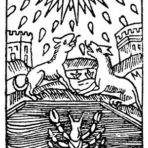 TAROT CARD: THE MOON. The Moon (Disappointment). Woodcut, French, 16th century