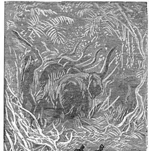 VERNE: JOURNEY. Gigantic Inhabitants. Wood engraving after a drawing by Edouard Riou from a 19th century edition of Vernes Journey to the Center of the Earth