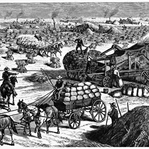 WHEAT THRESHER, 1878. A steam-powered wheat thresher on the Dalrymple farm west of Fargo, Dakota Territory, in 1878. Contemporary American wood engraving after a photograph