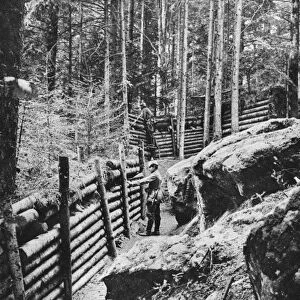 WORLD WAR I: GERMAN TRENCH. German trenches in the Vosges Mountains in France during World War I