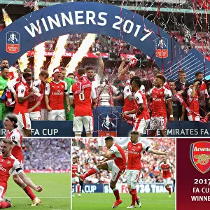 Arsenal Football Club: Special Editions