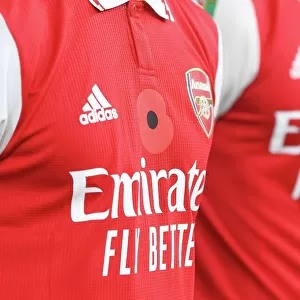 Arsenal in Poppies: Arsenal vs Brighton & Hove Albion, Carabao Cup 2022-23