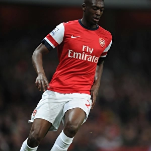 Yaya Sanogo in Action: Arsenal vs Newcastle United, Premier League 2013-2014