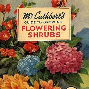 Mr Cuthberts Guide To Flowering 1953 1950s UK mcitnt flowers seeds flowers Cuthberts