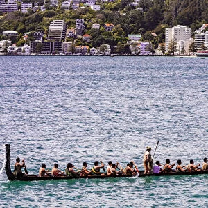 A Maori canoe in the harbour at Wellington, New Zealand