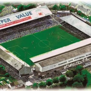 Ninian Park Art - Cardiff City