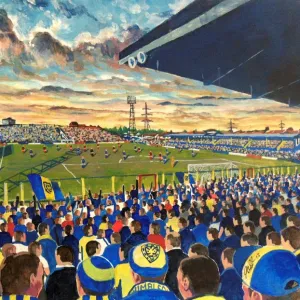 AFC Wimbledon