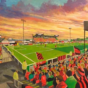 Seaview Stadium Fine Art - Crusaders Football Club