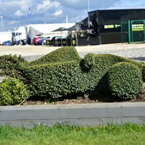 CM22 7846 Racing car topiary