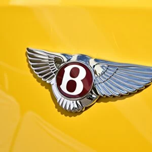 CM3 4660 Winged B, Bentley