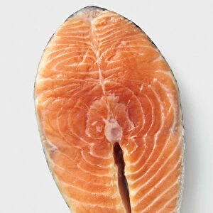 Alaskan king salmon steak fillet with ruler