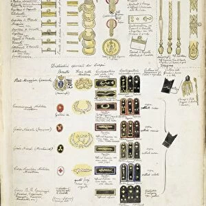 Badges of Royal Navy of Kingdom of Italy, color plate by Quinto Cenni, 1904