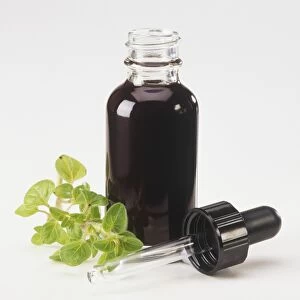 Bottle of herb extract, with oregano leaf next to it