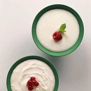 Bowls of yoghurt, whole-milk yoghurt garnished with recurrants, and live natural yoghurt garnished with a raspberry