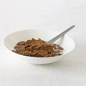 Bran flakes in white cereal bowl with spoon