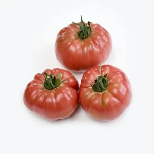 Three brandywine tomatoes, heirloom beefsteak tomato, close-up