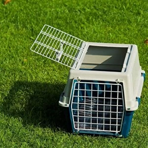 Cage For Transporting Cats