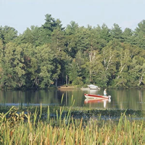 Canada, Ontario, Combemere, man fishing from small boat with an outboard motor on a lake, surrounded by trees