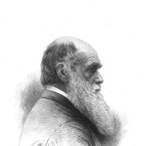Charles Darwin (1809-1882) English naturalist. A pioneer of theory of Evolution by