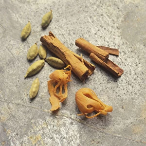 Cinnamon stalks, cardamom pods and blades mace, view from above