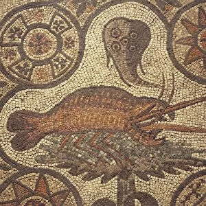 Close-up of a lobster design in mosaic, Aquileia, Friuli-Venezia Giulia, Italy