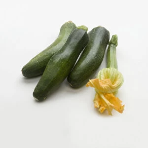 Courgettes and courgette flower, close-up
