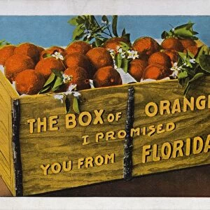 Crate of Florida Oranges. ca. 1911, Florida, USA, THE BOX of ORANGES I PROMISED YOU FROM FLORIDA