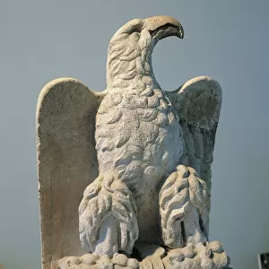 Croatia, Zara, Roman eagle, marble