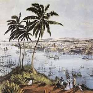 Cuba, Havana, Port of Havana, Detail, 1851, engraving