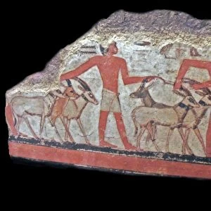 desert (oryx, gazelles) are brought before Metchetch. Ancient Egyptian wall painting