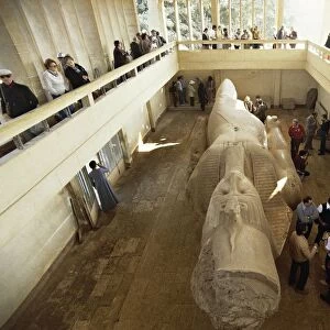 Egypt, Cairo, Mit Rahina, ancient Memphis, colossal limestone statue of Ramses II