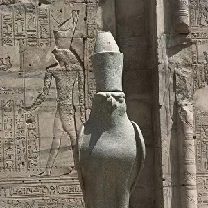 Egypt - Edfu. Ptolemaic era (305 b. c. -30 b. c. ). Temple of Horus. Pronaos, statue of God Horus as falcon wearing the double crown of Egypt