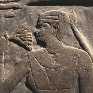 Egypt, Memphis, Saqquara necropolis, Mastaba of Merekura, Old Kingdom, Interior, relief with wife of deceased