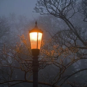 Foggy winter morning on Magdalen Bridge, Oxford